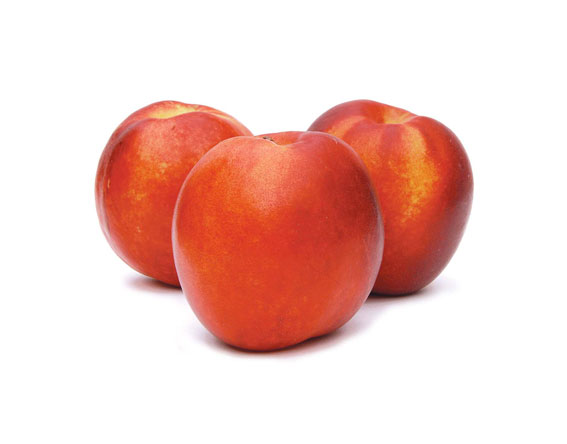 Nectarine Nectarine
