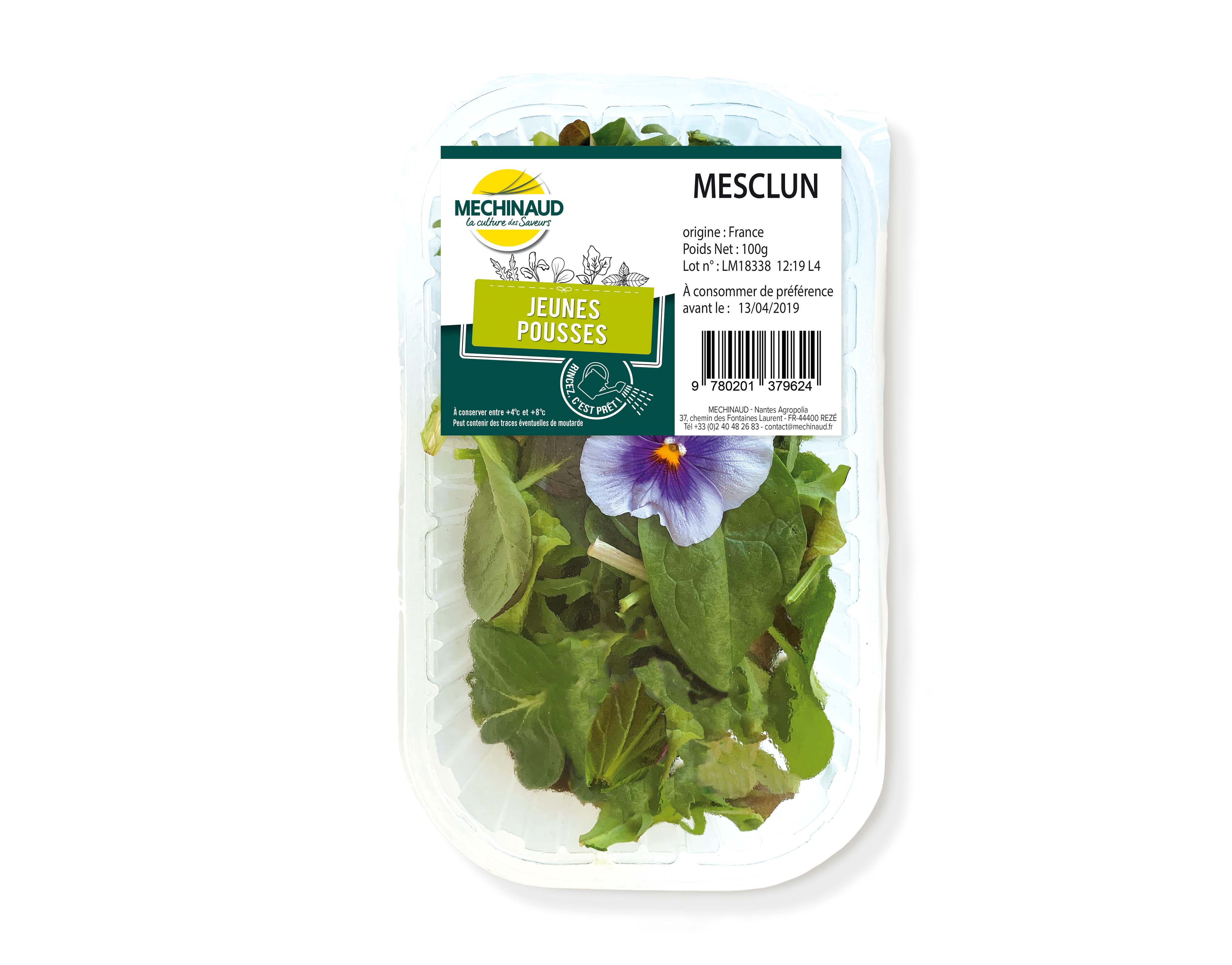 Mesclun Mechinaud