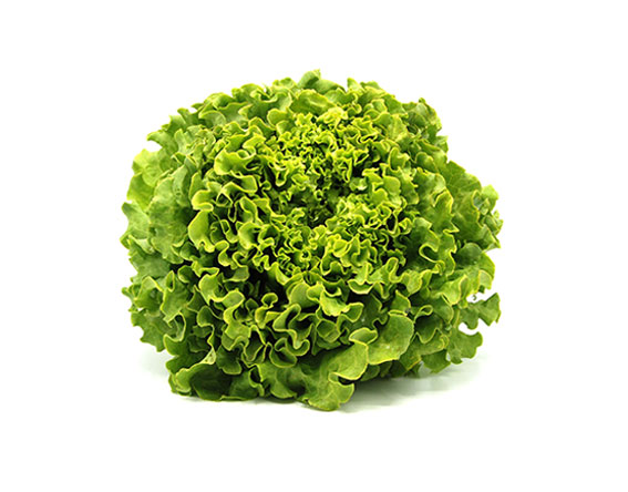 Salades de Marmande Salades de Marmande