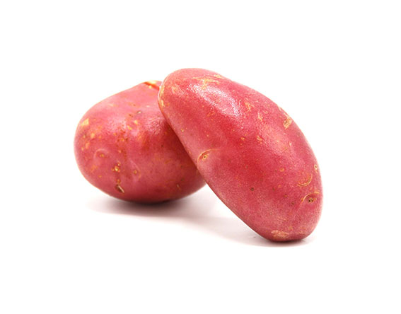 Pommes de terre de Marmande Pommes de terre de Marmande